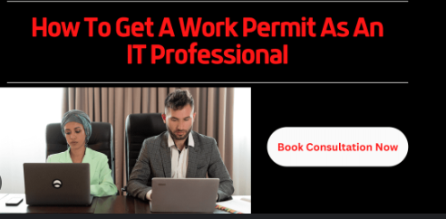 How to Secure a Work Permit as an IT Professional